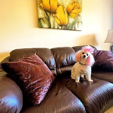 Beautiful Apartment With Pools, Playground And Paddle Tennis - Family Friendly And Near Vithas Hospital - Free Parking In Garage Беналмадена Екстериор снимка