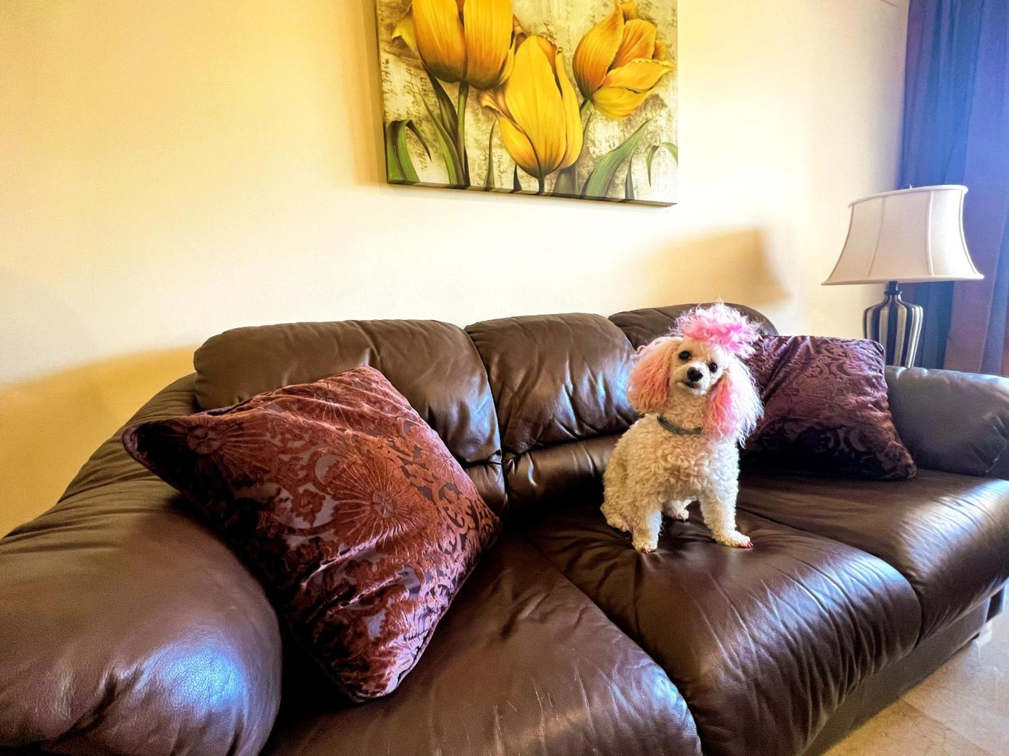 Beautiful Apartment With Pools, Playground And Paddle Tennis - Family Friendly And Near Vithas Hospital - Free Parking In Garage Беналмадена Екстериор снимка